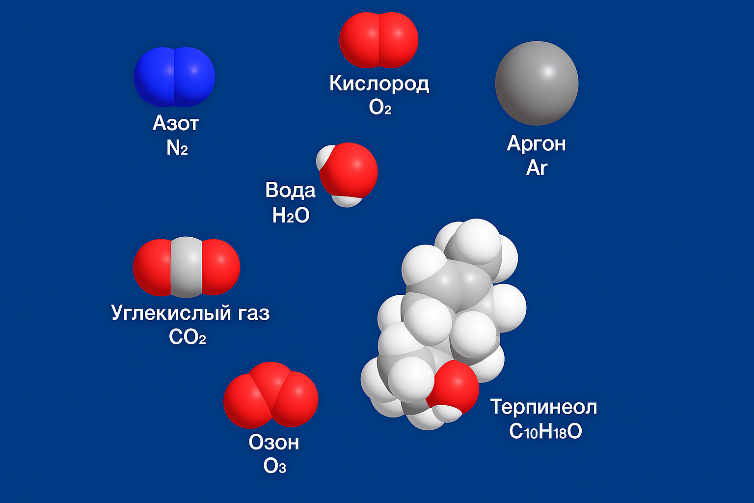 Модели молекул и названия веществ, входящих в состав лесного воздуха